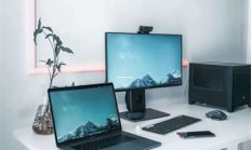 天涯社区和贴吧：老辈和新时代网络论坛的碰撞