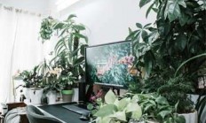 天涯爸：网络情感圈里的神网友那些事儿