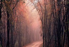 天涯论坛客服团队在线为大家服务！这位经常在天涯论坛上提问的朋友发现了一些问题。长期以来，天涯社区已经形成了独特的社区文化，而客服团队让他们感到安心。