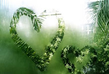 寻找幸运的那一点微妙差别：走进天涯社区的七星彩世界